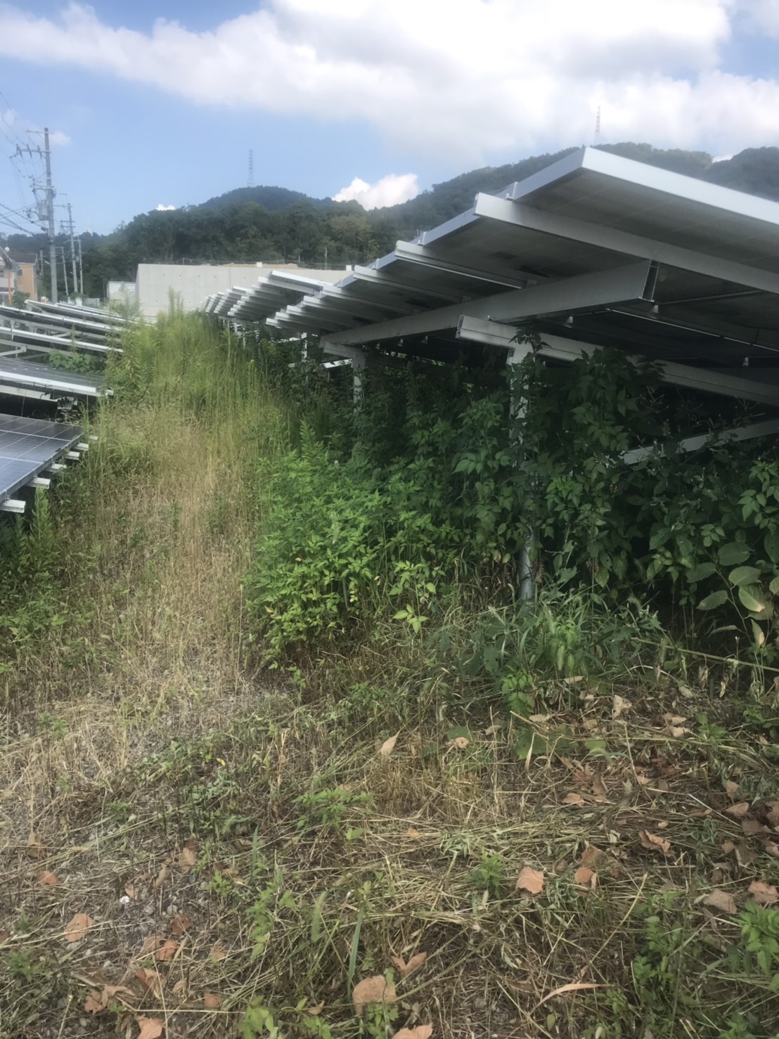 F様ソーラーパネル 広範囲の草刈り｜京都府京田辺市（作業前）