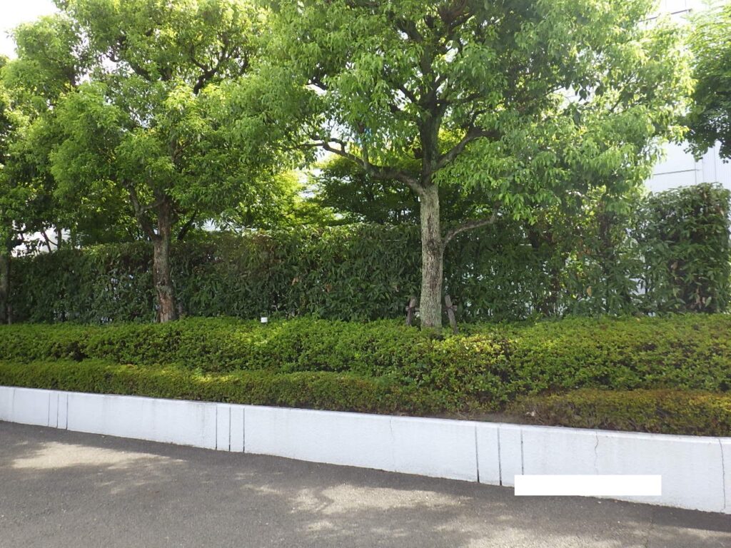 施工画像