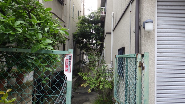 伐採作業