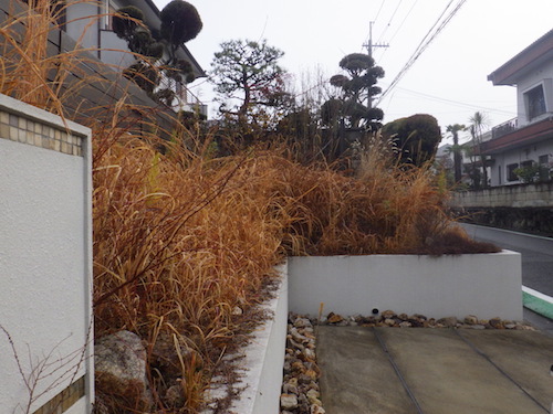 除草前