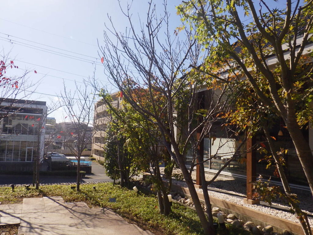 施工画像